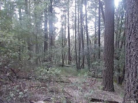1190 Maize Way, Willits, CA 95490 photo 5