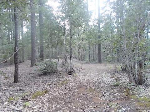 1190 Maize Way, Willits, CA 95490 photo 4