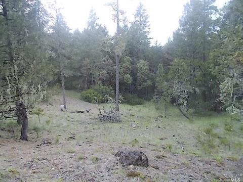 1190 Maize Way, Willits, CA 95490 photo 14
