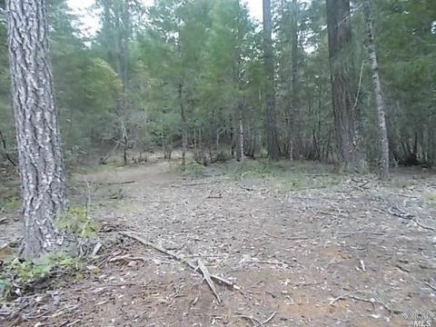 1190 Maize Way, Willits, CA 95490 photo 8