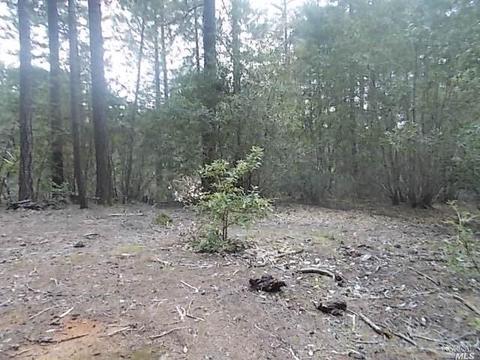 1190 Maize Way, Willits, CA 95490 photo 7