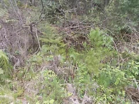 1190 Maize Way, Willits, CA 95490 photo 12