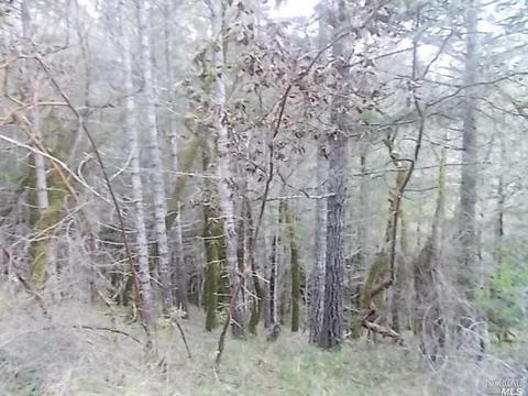 1190 Maize Way, Willits, CA 95490 photo 9