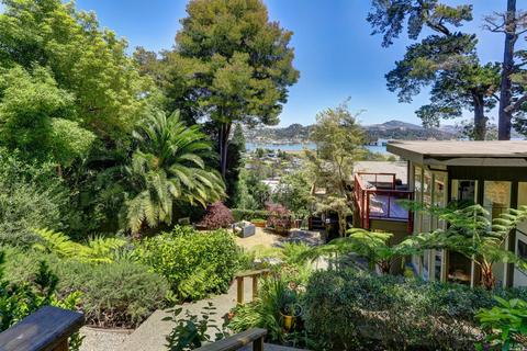 237 Cleveland Ave, Mill Valley, CA 94941 photo 4