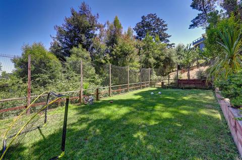 237 Cleveland Ave, Mill Valley, CA 94941 photo 26