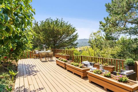 28 Longfellow Rd, Mill Valley, CA 94941 photo 43
