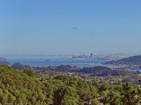 1 Via Vandyke, Mill Valley, CA 94941 photo 40