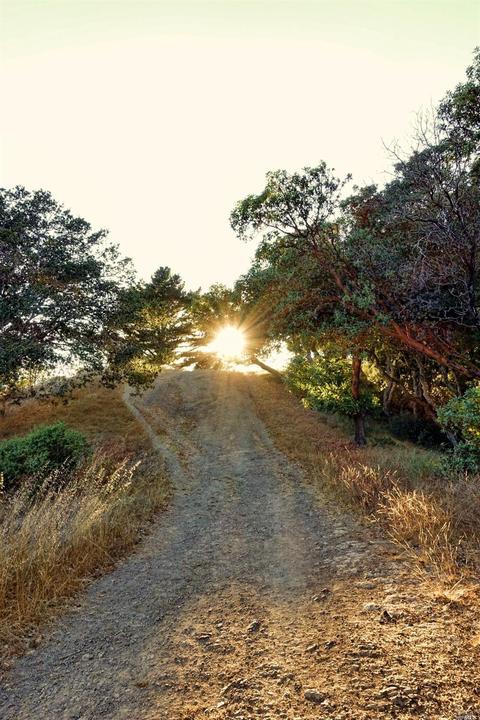 1 Via Vandyke, Mill Valley, CA 94941 photo 43