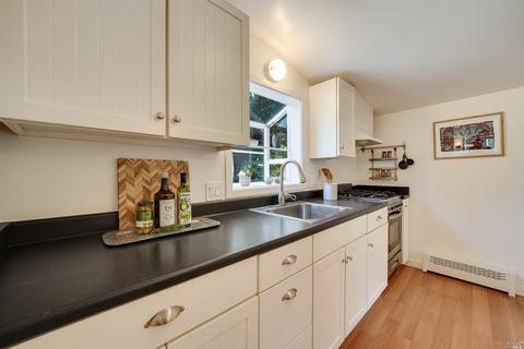 115 Walnut Ave, Mill Valley, CA 94941 photo 55