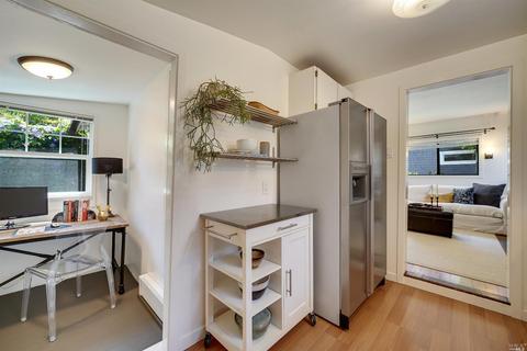 115 Walnut Ave, Mill Valley, CA 94941 photo 57