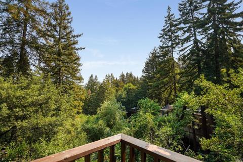 120 Florence Ave, Mill Valley, CA 94941 photo 10