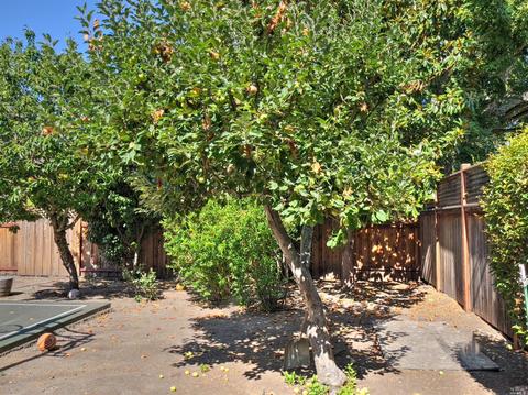 995 5th St E, Sonoma, CA 95476 photo 45