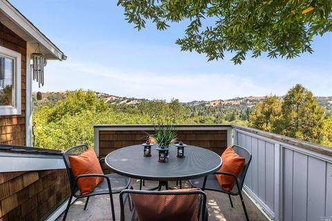 171 Forrest Ave, Fairfax, CA 94930 photo 50