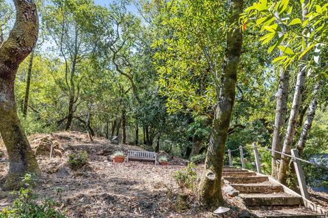 171 Forrest Ave, Fairfax, CA 94930 photo 56