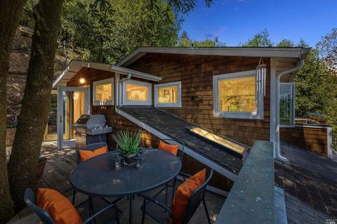 171 Forrest Ave, Fairfax, CA 94930 photo 54