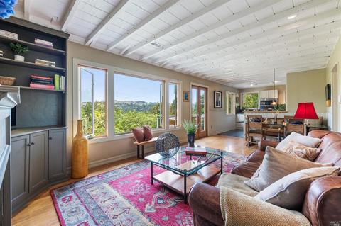 171 Forrest Ave, Fairfax, CA 94930 photo 8