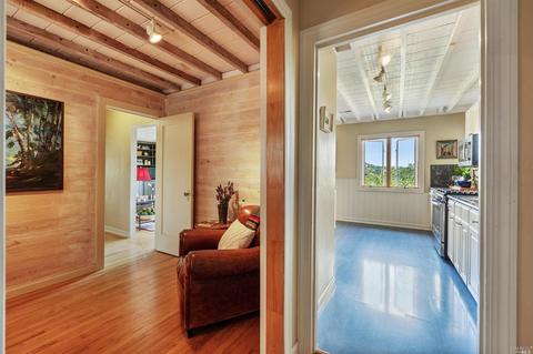 171 Forrest Ave, Fairfax, CA 94930 photo 23