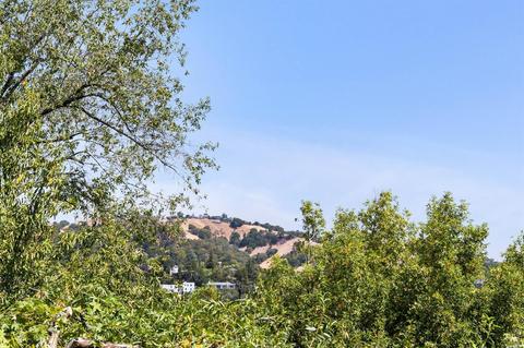 171 Forrest Ave, Fairfax, CA 94930 photo 3
