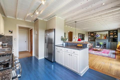 171 Forrest Ave, Fairfax, CA 94930 photo 15