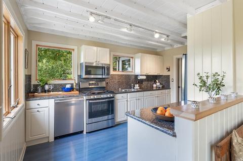 171 Forrest Ave, Fairfax, CA 94930 photo 16