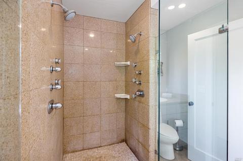 171 Forrest Ave, Fairfax, CA 94930 photo 47