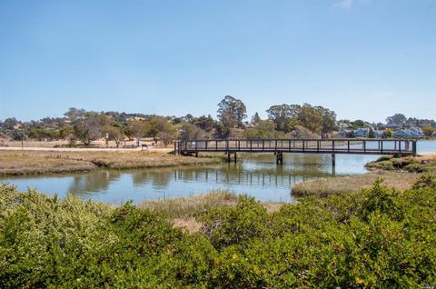 809 Miller Ave, Mill Valley, CA 94941 photo 25