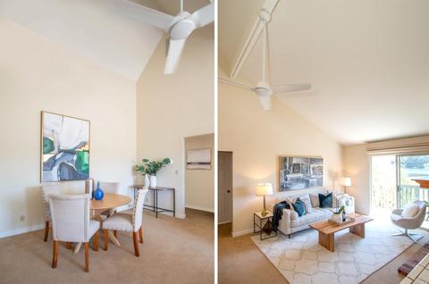 809 Miller Ave, Mill Valley, CA 94941 photo 10
