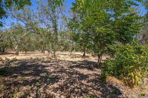 7447 Pitt School Rd, Dixon, CA 95620 photo 37