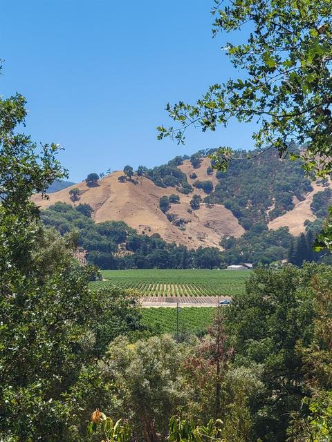 511 Riverside Dr, Ukiah, CA 95482 photo 46
