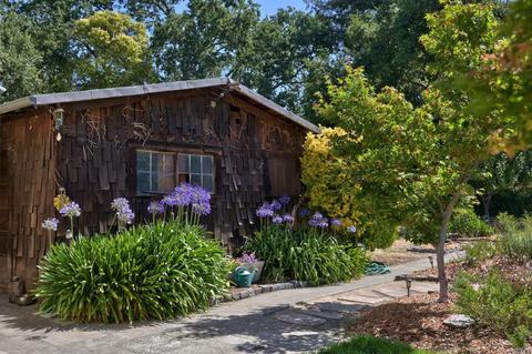 916 Wright St, Santa Rosa, CA 95404 photo 5