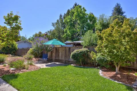 916 Wright St, Santa Rosa, CA 95404 photo 15