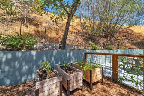 5 Windsor Ave, San Rafael, CA 94901 photo 34