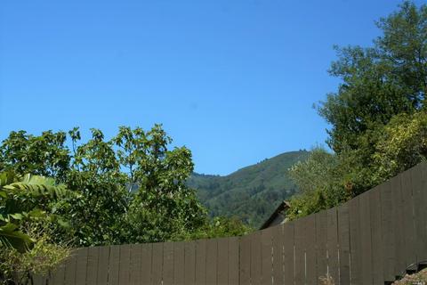 208 Lovell Ave, Mill Valley, CA 94941 photo 16