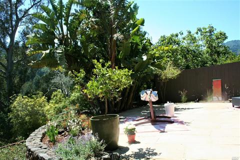 208 Lovell Ave, Mill Valley, CA 94941 photo 18