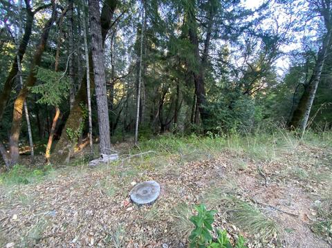 2797 Primrose Dr, Willits, CA 95490 photo 1