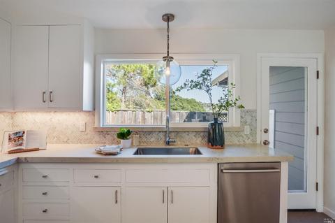 563 E Blithedale Ave, Mill Valley, CA 94941 photo 18