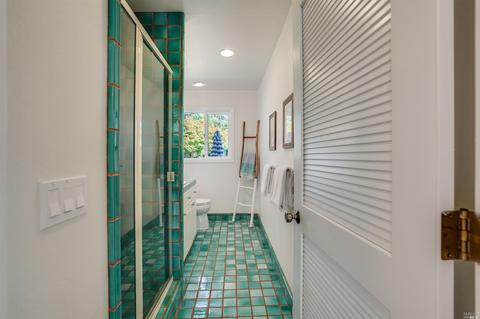 563 E Blithedale Ave, Mill Valley, CA 94941 photo 31