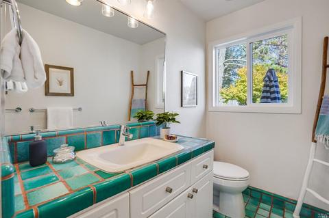 563 E Blithedale Ave, Mill Valley, CA 94941 photo 32