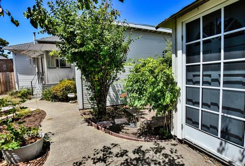 843 B St, Petaluma, CA 94952 photo 36