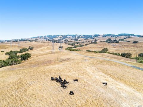 3258 Old Adobe Rd, Petaluma, CA 94954 photo 10