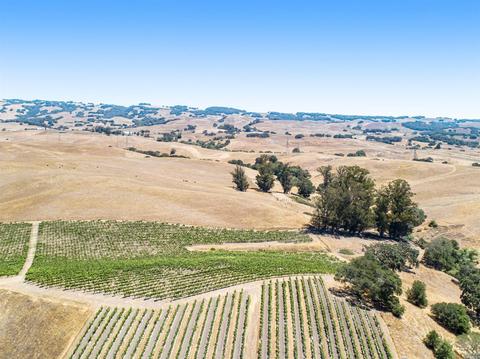 3258 Old Adobe Rd, Petaluma, CA 94954 photo 11