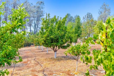 16903 Ranch Rd, Middletown, CA 95461 photo 71