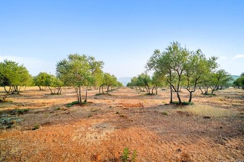 16903 Ranch Rd, Middletown, CA 95461 photo 72