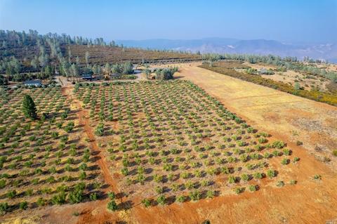 16903 Ranch Rd, Middletown, CA 95461 photo 5