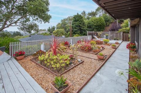 704 Bay Rd, Mill Valley, CA 94941 photo 5