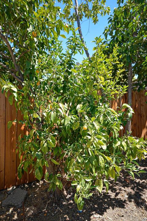 23 Garthe Ct, Vallejo, CA 94591 photo 28