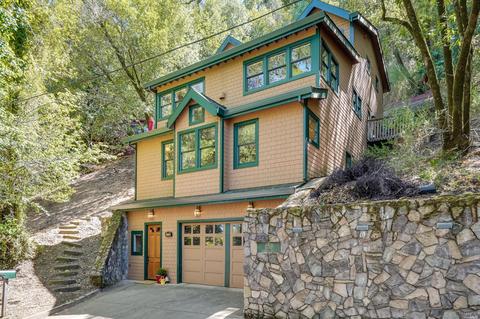 159 Forrest Ave, Fairfax, CA 94930 photo 47
