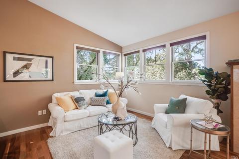 159 Forrest Ave, Fairfax, CA 94930 photo 22