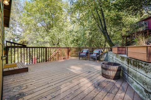 159 Forrest Ave, Fairfax, CA 94930 photo 43
