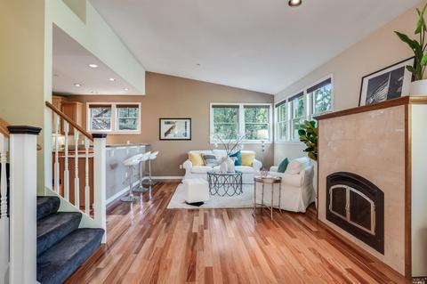 159 Forrest Ave, Fairfax, CA 94930 photo 21
